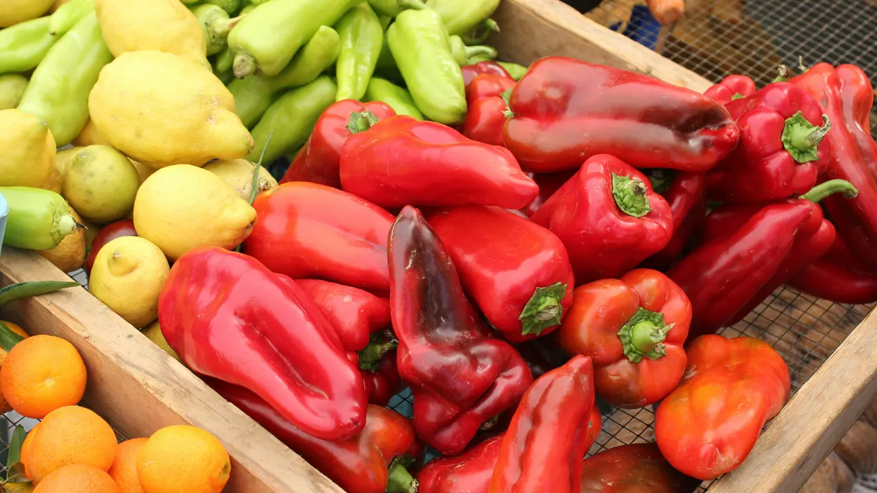 How Glycemic Index Testing Services Enhance Product Development